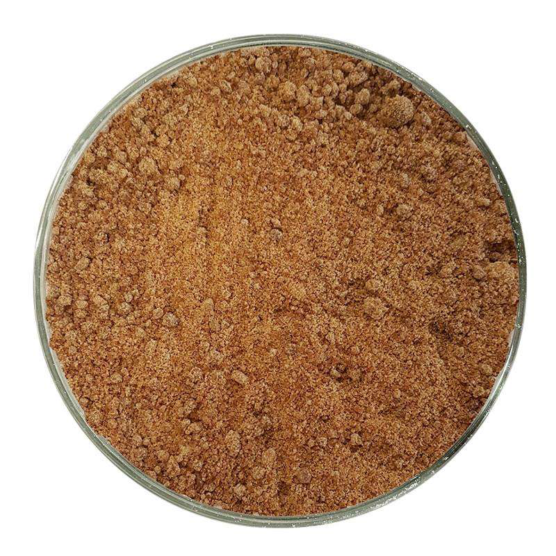 [V/E/0030/2] Panela Sublime bio (sucre) (50 grammes)